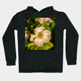 Japanese Anemone on a Sunny Day Hoodie